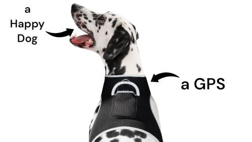 GPS Cell Phone Pet Tracker Realtime Tracking Device for Pet Security Size:XXL